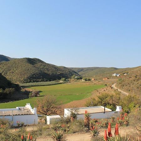 Matjiesvlei Guestfarm Villa Calitzdorp Bagian luar foto