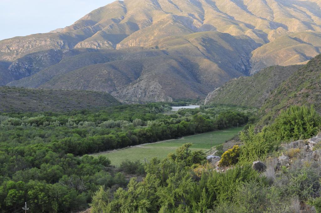 Matjiesvlei Guestfarm Villa Calitzdorp Bagian luar foto